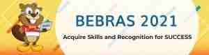 Read more about the article Bebras